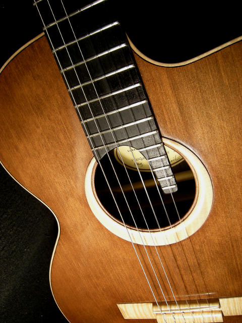 expnyrust_side_4 Che chitarra comprare? Consigli generali