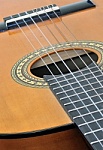 rosa chitarra 2
