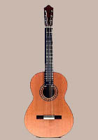 chitarra-flamenca